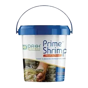 Prime Shrimp